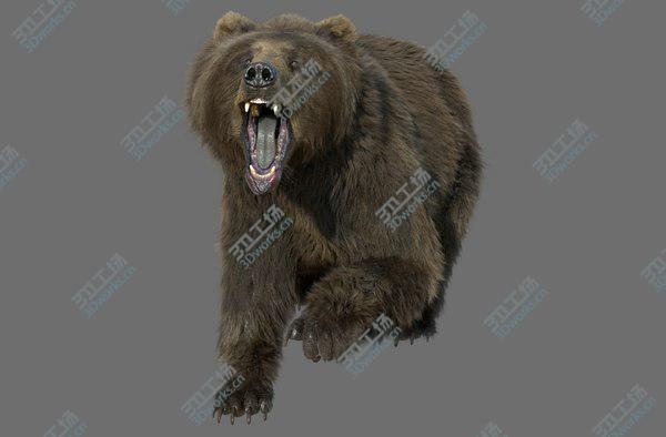 images/goods_img/20210312/3D bear FUR RIGGED ANIMATED/4.jpg